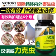 Thuốc chữa bệnh cho chim bồ câu cơ thể sâu bọ coccidia thuốc chữa bệnh cho chim bồ câu [Giống như sâu] đua chim bồ câu cung cấp thuốc phân nước - Chim & Chăm sóc chim Supplies