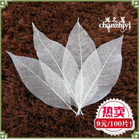 Натуральные листья магнолии образец сухой цветок закладка Diy Material Bag Leaf Vein