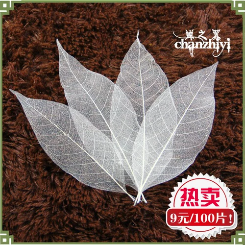 Натуральные листья магнолии образец сухой цветок закладка Diy Material Bag Leaf Vein