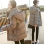 Chống mùa giải phóng mặt bằng 2018 mùa thu và mùa đông mới Hàn Quốc phiên bản của retro lưới với một đoạn ngắn ngắn xuống bông dày ấm bông quần áo phụ nữ áo khoác đại hàn nữ
