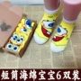 Phim hoạt hình SpongeBob Cá Tính Giúp Đỡ Thấp Nam Giới và Phụ Nữ Vớ Vớ Thuyền Mùa Xuân Hè Cotton Các Cặp Vợ Chồng Tuần Hộp Quà Tặng Vớ tất uniqlo