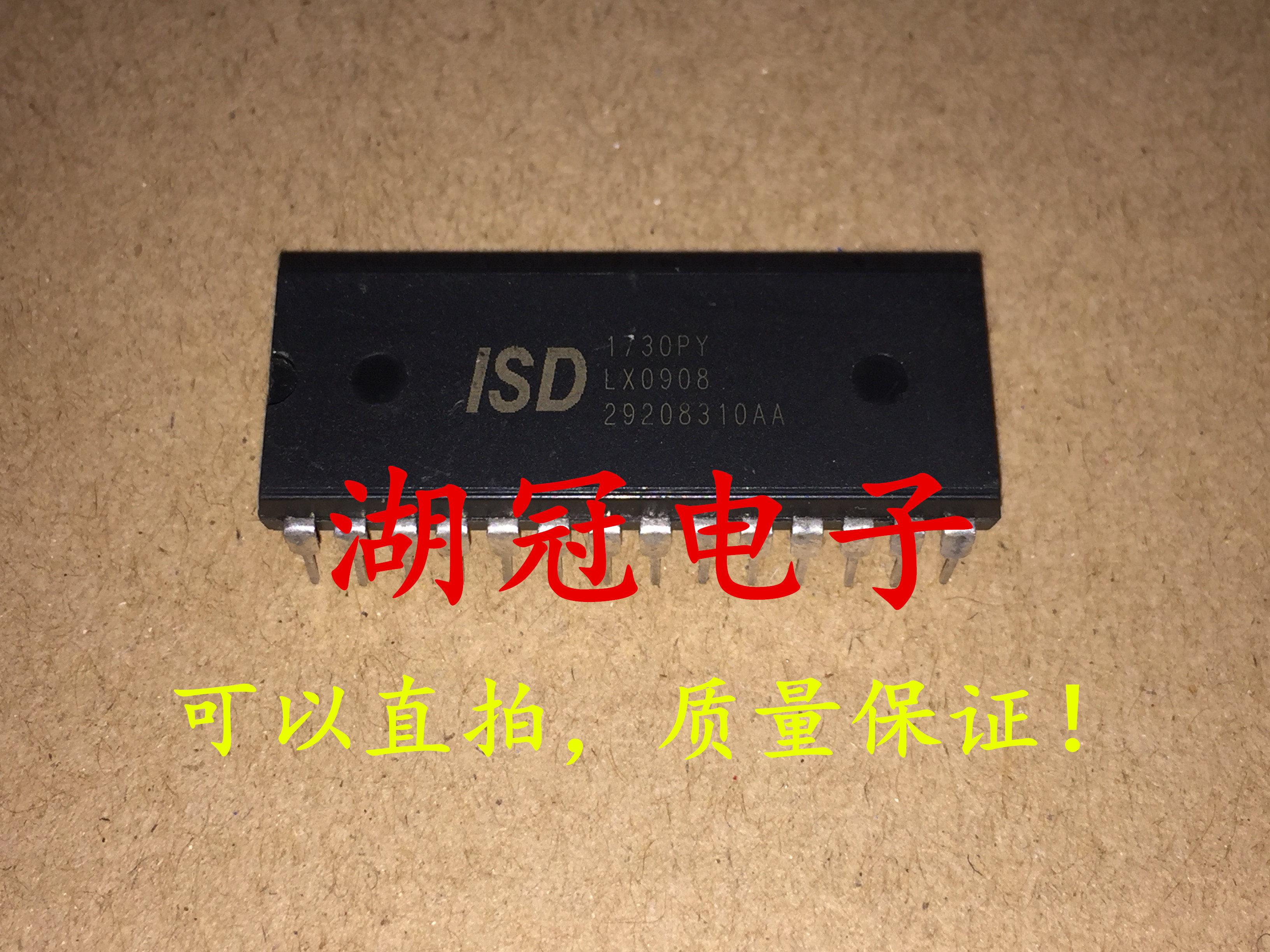 2pcs ISD1730 ISD1730PY DIP-28 Voice Chip Original Package NEW