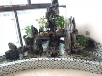 Хунан Чанша бассейн Рокерский балкон Вью с водой виллы конструкция сада конструкция и строительство строительства