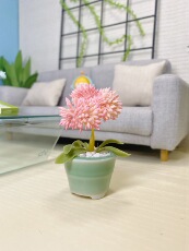 bjd场景道具娃屋 bjd6分植物盆栽微缩仿真blythe六分娃屋ob11家具装饰摆件绿植带盆