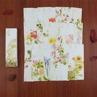 Цветы и растения