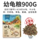 Halfwater Turtle Young Turtle 900G
