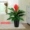 Cây mô phỏng cây hoa hồng chậu cây lớn màu xanh lá cây phòng khách sàn trưng bày hoa giả nhựa hoa cưới hoa anthurium - Hoa nhân tạo / Cây / Trái cây bình hoa giả đẹp