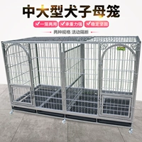Тибетская мастиф Аляска MU Golden Maozi Mother Cage Mate Bold Burd Dogs Giant Outdoor Dog Cage