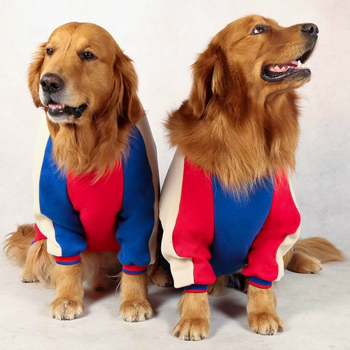 Tide Brand Big Dog Одежда плюс бархатные свитера, золотые рераадс, лабрадо Аляска Средняя большая собака с четырьмя футболами Осень и зима