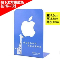 Apple Book Countuse (Blue)