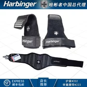 Kết hợp thiết bị bảo vệ thể dục HARBinger # 223 đai cử tạ mạnh mẽ # 202 da cọ chống trơn - Dụng cụ thể thao