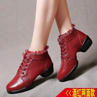 Wine Red Net Loodle 8026