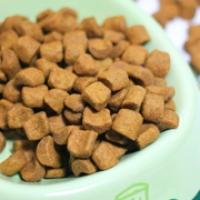 Búp bê thức ăn vật nuôi đậu gạo British Shorthair Anh xơ ngắn 34 đặc biệt thức ăn cho mèo với số lượng lớn 500g Bulk Grain