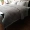 thêu châu Âu bông lụa dệt Taxuexunmei giường đôi bông ba mảnh bông khăn trải giường bao gồm vận chuyển - Trải giường thảm trải giường mùa hè