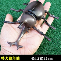 Dajiaoxian