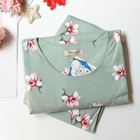 12-Bean Green