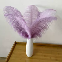 Сиреневый, 45-50см