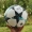 Nga Cup vô địch Premier League La Liga Champions League 45 trẻ em dán keo nóng bóng đá World Cup