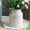 Bình gốm xi măng đồ trang trí nhà phòng khách văn hóa nước cắm hoa cây xanh cũ cọc thịt hoa chậu hoa mô phỏng - Vase / Bồn hoa & Kệ lọ hoa bàn tay phật