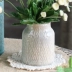 Bình gốm xi măng đồ trang trí nhà phòng khách văn hóa nước cắm hoa cây xanh cũ cọc thịt hoa chậu hoa mô phỏng - Vase / Bồn hoa & Kệ Vase / Bồn hoa & Kệ