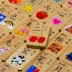 Đồ chơi giáo dục bằng gỗ cho trẻ em domino Trái cây Động vật Bé biết các khối ký tự Trung Quốc 1-2-3-6 tuổi - Khối xây dựng shop đồ chơi domino Khối xây dựng