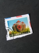 Tem Trung Quốc Đài Loan tem thủ công kỷ niệm bộ sưu tập chính hãng bộ sưu tập tem bộ sưu tập trung thực bộ sưu tập tín dụng