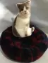 Vật nuôi nhỏ cần thiết hàng ngày vật nuôi mèo nhà chó phổ quát pad ấm flannel - Cat / Dog hàng ngày Neccessities dụng cụ ăn uống cho chó	