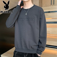 We23203 Grey регулярно