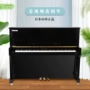 Xinqin Xinghai Piano XU-118B Người mới bắt đầu Nhập học Piano Kiểm tra Piano Dạy Piano - dương cầm chordana play