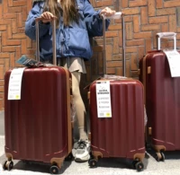 TS модернизированная версия тетя Red