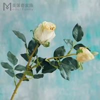 Осень Color-Ye Huang