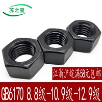 Национальный стандартный черный высокая прочность 8 уровня 10-уровневой ореховой гайки, шестиугольная гайка M4-M64GB6170