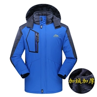 668 красочная орхидея