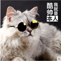 Солнцезащитные очки, трендовый аксессуар, кошачий глаз