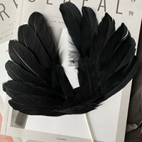 № 22 перья маленькие крылья (22x25 см)