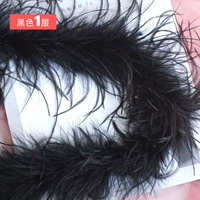 1 слой черной зашифрованной страус