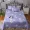 Khăn trải giường bằng vải bông một mảnh ba mảnh mùa đông bông dày để tăng tấm ấm đôi - Trải giường