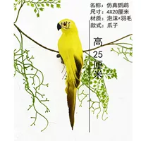 Модель когтя попугая (желтый) 1