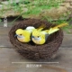 Большое гнездо+шелковая птица с желтым золотом 2+3 яйца