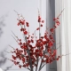Rice Red La Mei 4 (исключая бутылку)