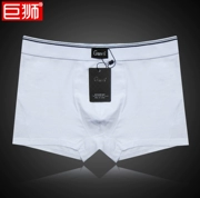 Giant Lion Nam Đồ Lót Nam Boxer Tinh Khiết Bông Trắng Màu Sắc Ánh Sáng Loose Cotton Kích Thước Lớn Modal Boxer N