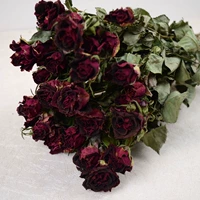 Роза фиолетовый Роланд 10
