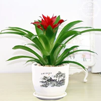 Удачи (море обширное, а небо огромно)