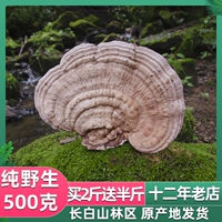 Hiraki Ganoderma lucidum lonage ganoderma 500 грамм молодежи, северо -восточная ганодерма сушена
