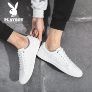 Giày nam Playboy giày trắng mùa xuân bảng học sinh mới giày bé trai giày vải giày hoang dã - Plimsolls