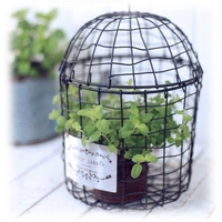 Крюк -тип птичьей клетки