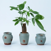 Handmade gốm gốm jar hoa bình hoa nồi gốm đất nung cổ xưa nhỏ hoa chèn đồ trang trí - Vase / Bồn hoa & Kệ