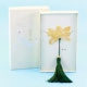 Lingbo Gift Box