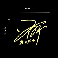 Фирменная металлическая наклейка Сюй Синь модель