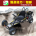 Dành cho người lớn sang trọng lớn đôi hai chỗ ngồi kart off-road ATV bốn bánh xe máy núi xăng xe máy Xe đạp quad